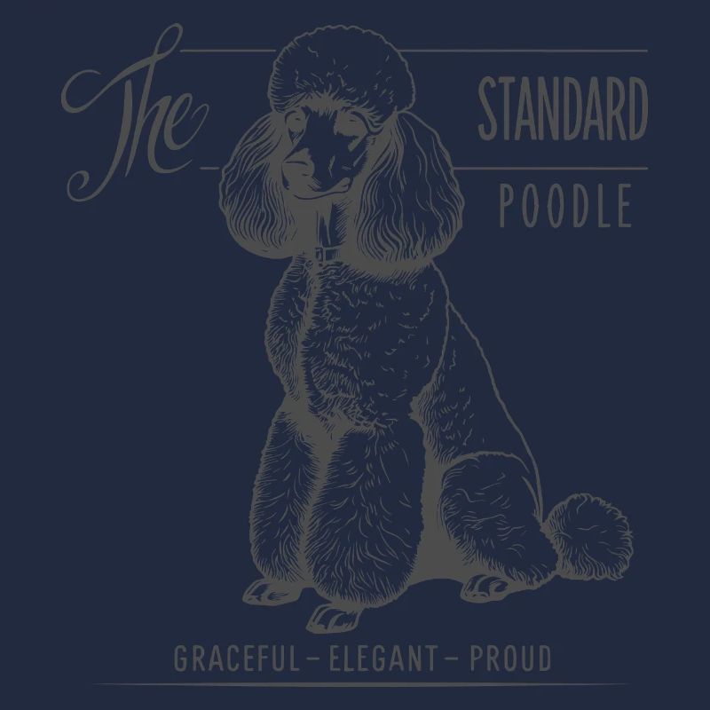 Standard Poodle Elegance and Pride