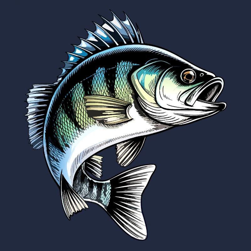 Jumping Perch Dynamic Fish Illustration