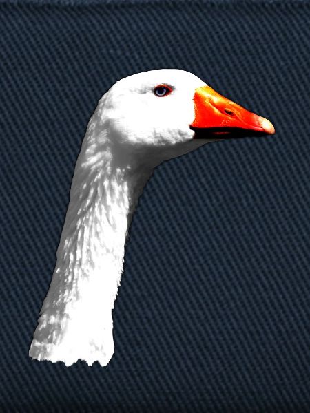 Gans