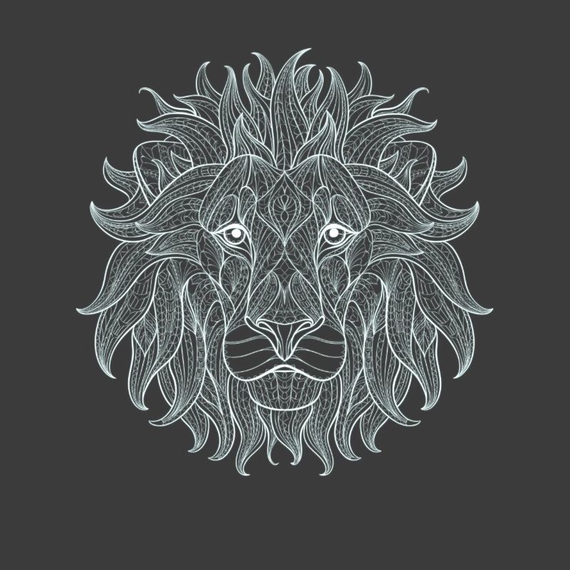 Lion white lion king outline mandala pattern head