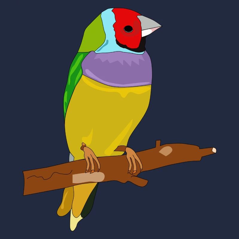 Bunter Vogel