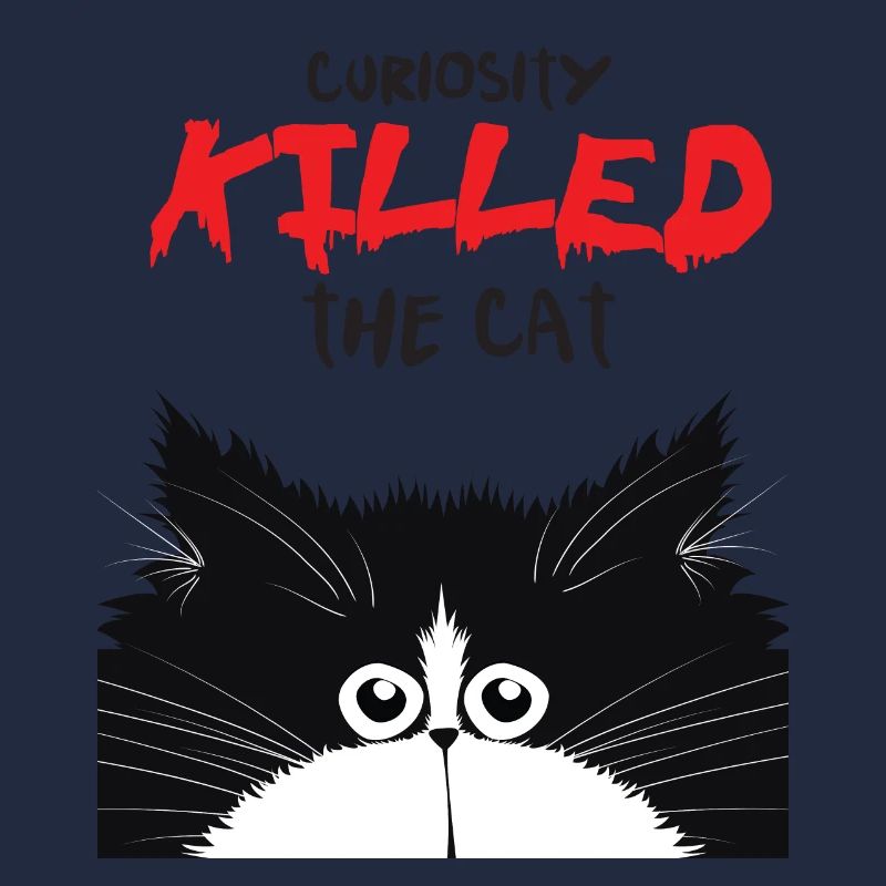 Curious cat