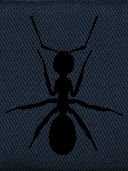 ANT