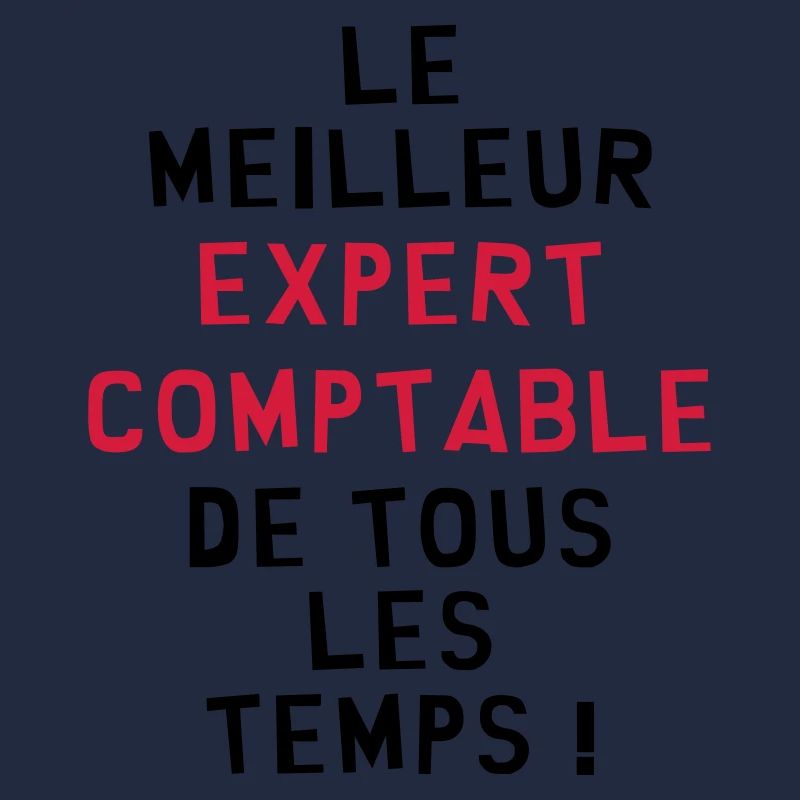 Expert Comptable / Comptabilité / Comptable /