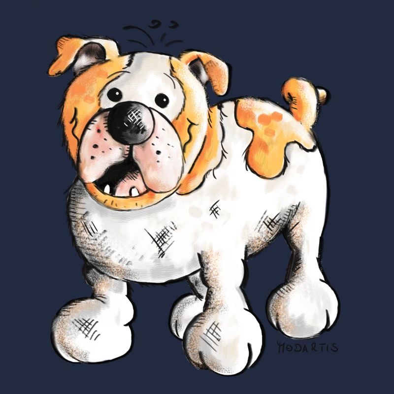 Englische Bulldogge
