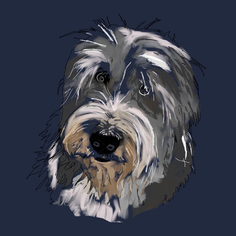 Bearded Collie