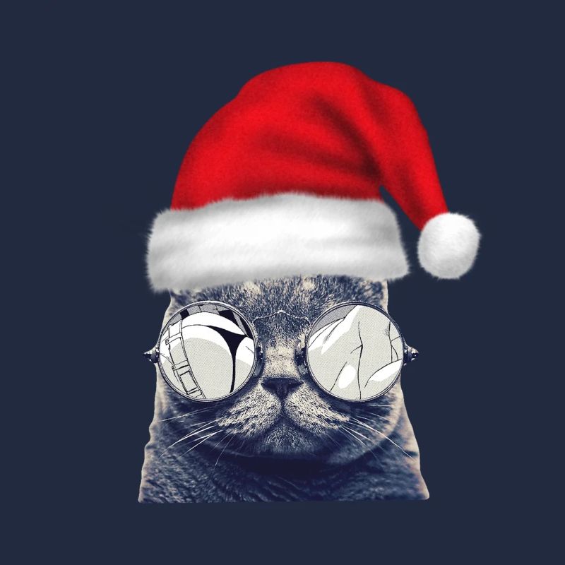 Christmas Cat Glasses