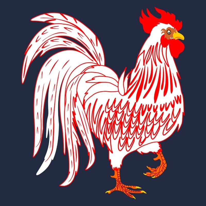 White rooster Rooster coq
