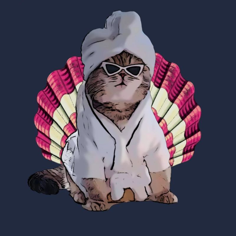 chat cool dans le spa