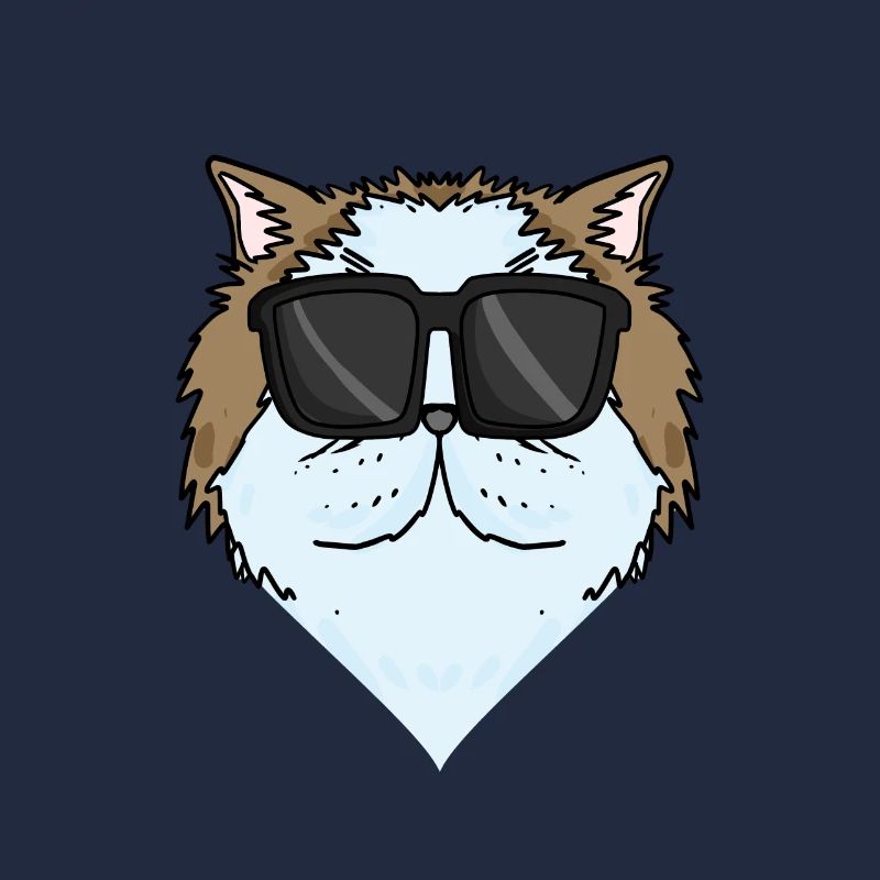 Cool Chat Persan Chat Race Chat