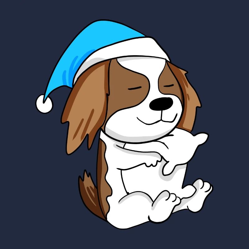 Hund Hunderasse Charles Spaniel