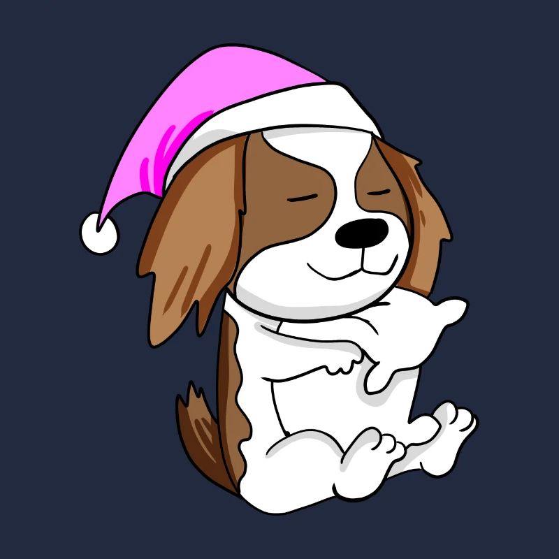 Hund Hunderasse Cavalier King Charles Spaniel