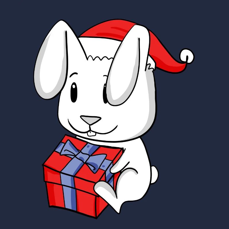 Lapin de Noël Bébé avec cadeau - Lapin