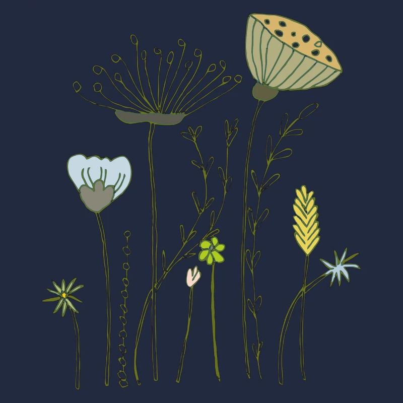 fleurs séchées prairie fleurie