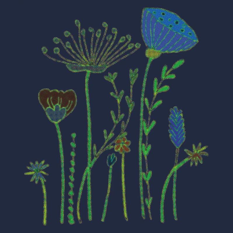 trockenblumen halbton
