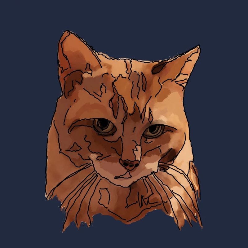 Chat