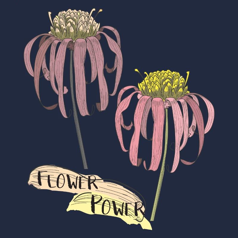 Echinacea, coneflower