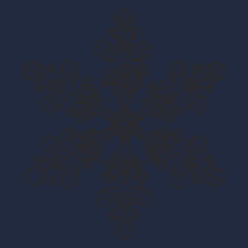 snowflake 6 black