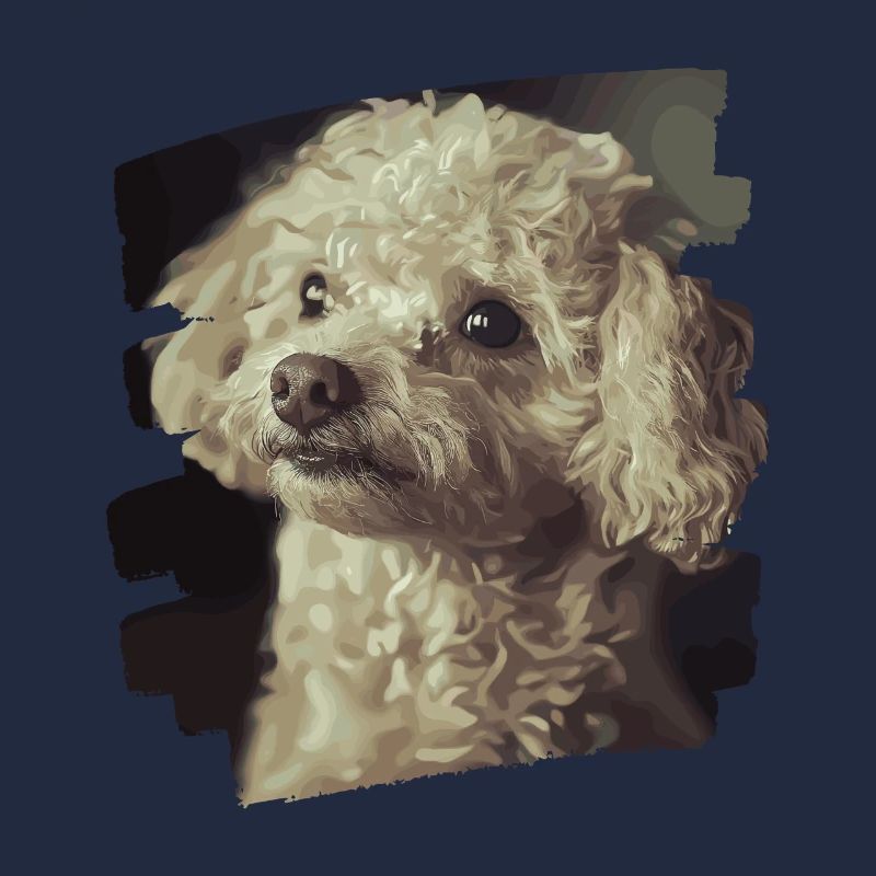 Poodle