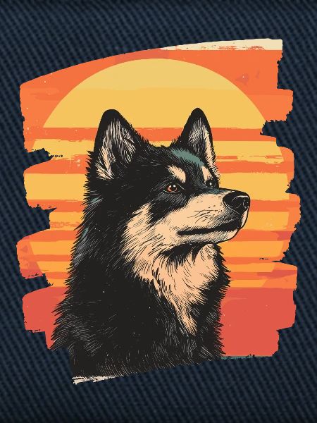 Finnischer Lapphund
