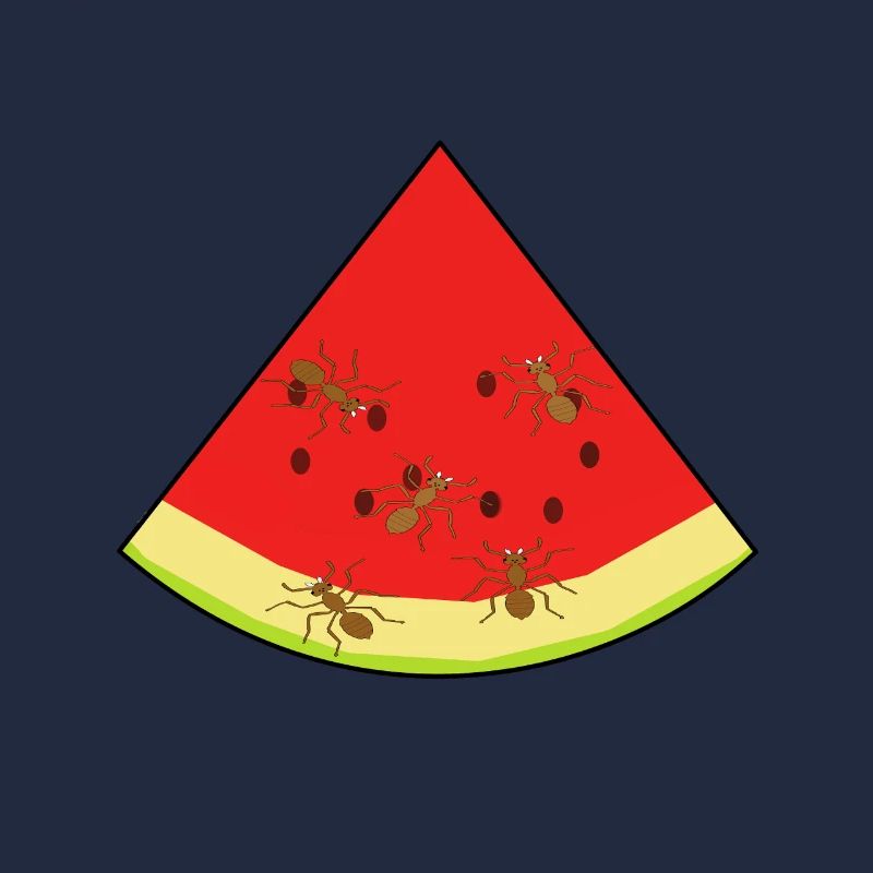 melon, été, fourmis, fourmi, insecte