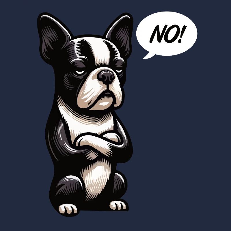 No Boston Terrier Boston Boston terrier owner