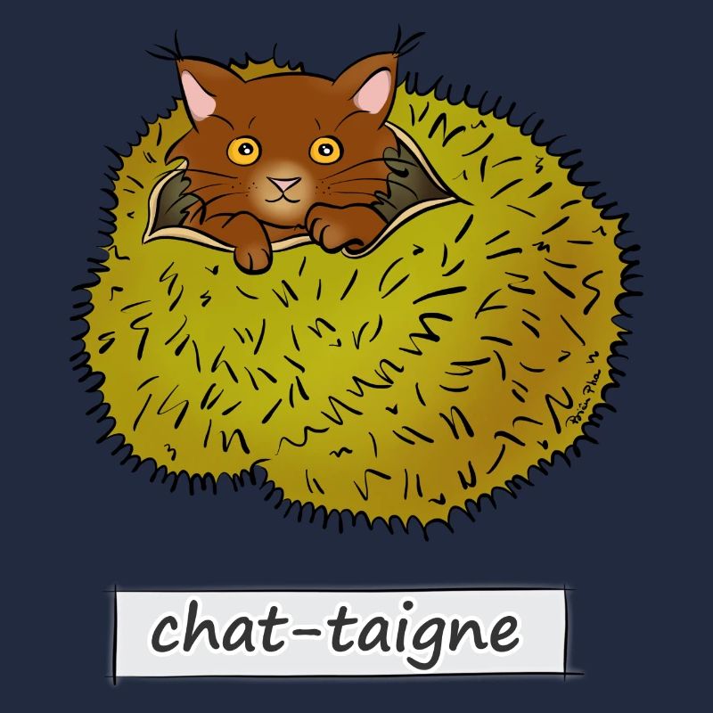 Spinnenkatze