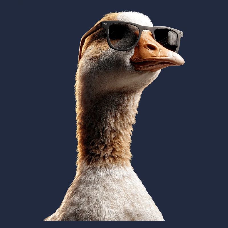 Goose Cute Goose Chicks Goose Chick Duck Small Geese