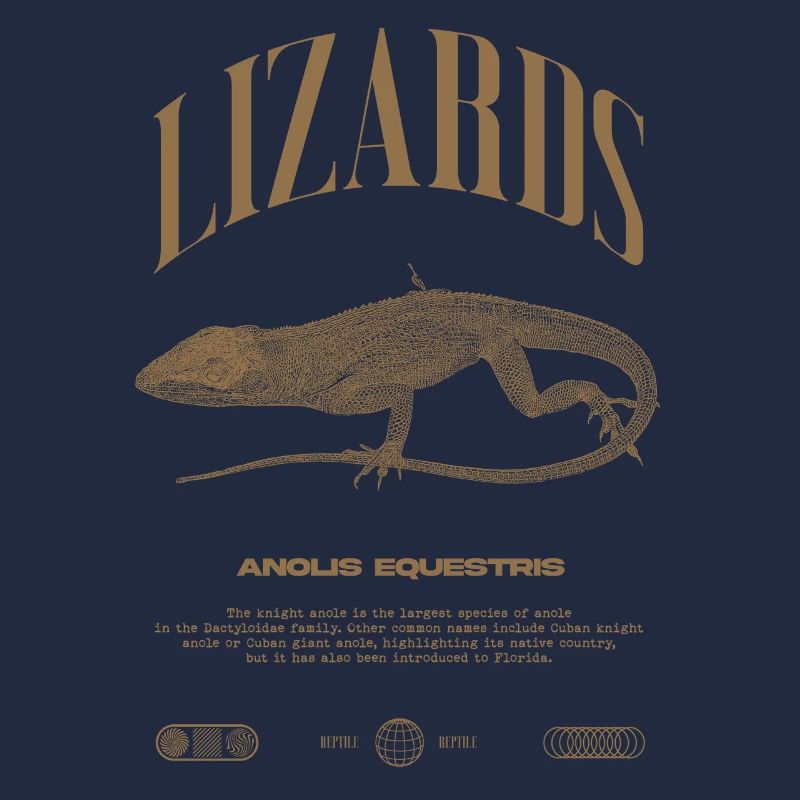 Cuban Knight Anole Reptile Keeper Lizard