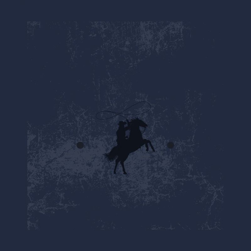 Lasso, Rodéo, Cheval