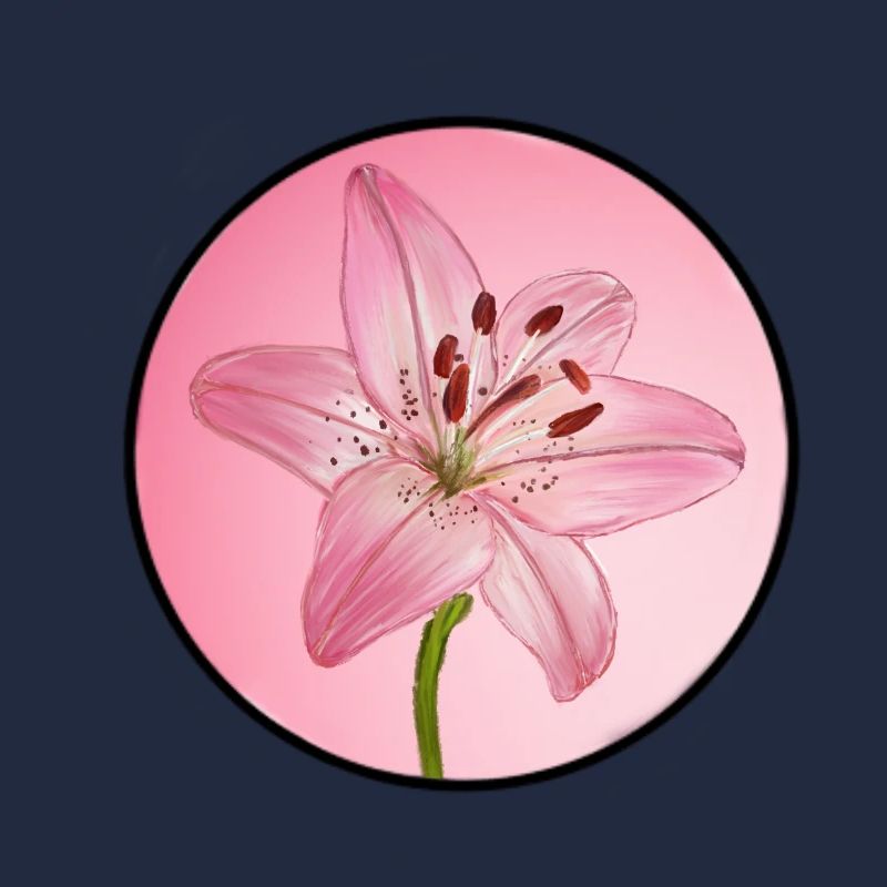 LilyDream