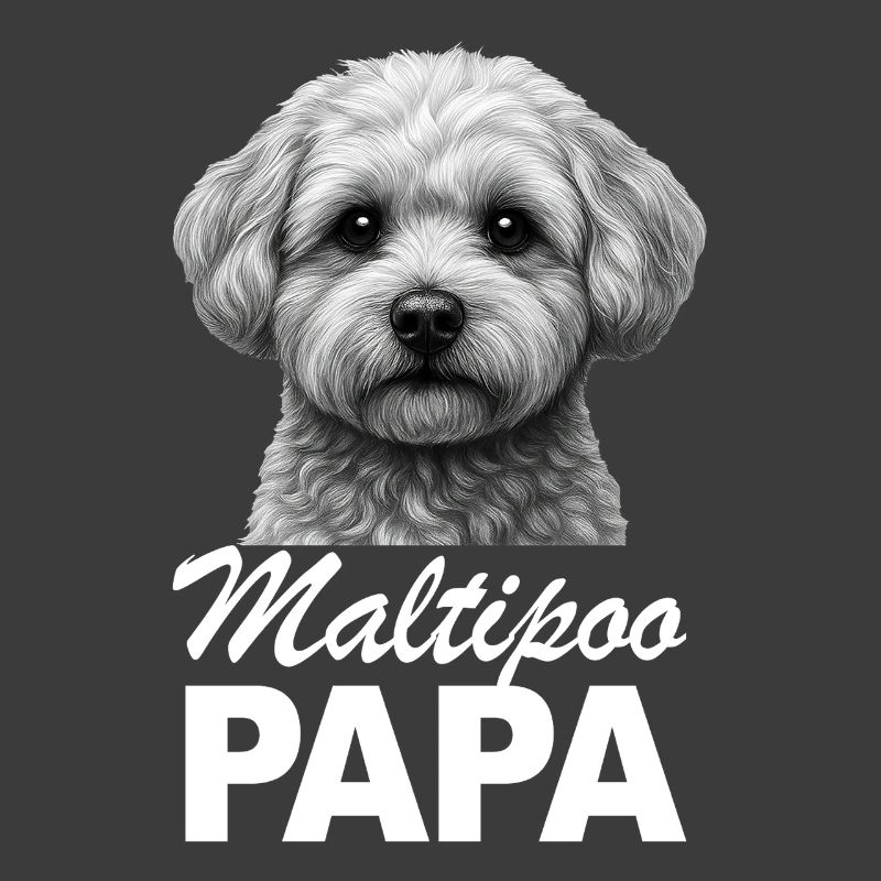 Papa Maltipoo