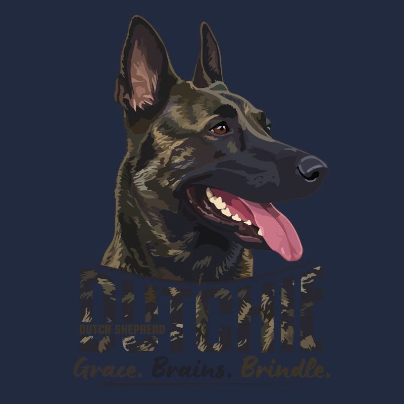 Dutchie - Holländischer Schäferhund