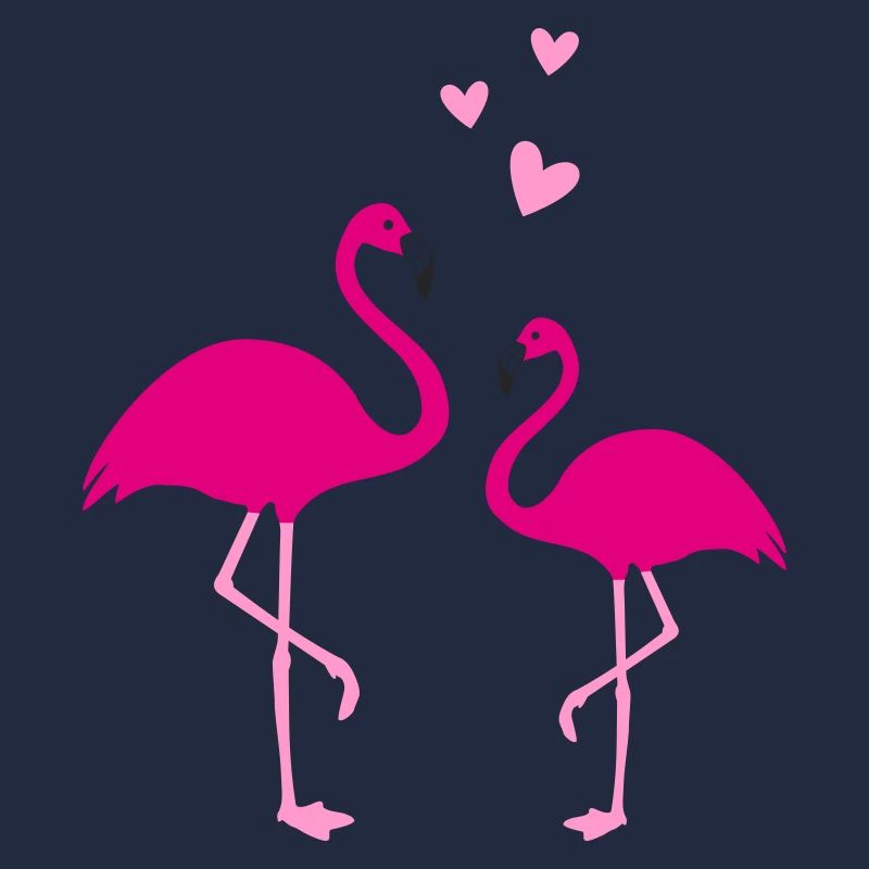 Flamingos Love Duo