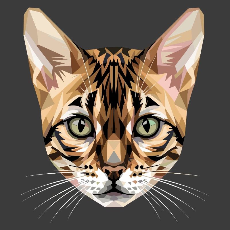 Chat léopard du Bengale, chat léopard, léopardette, chats du Bengale,