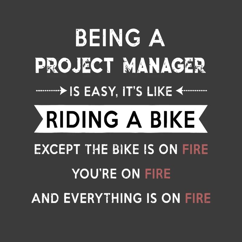 Project Manager on Fire