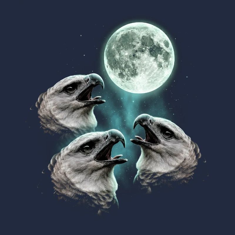 Harpy eagles howling at the moon