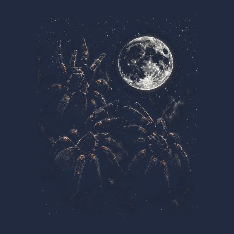 Lunar Night Tarantula Scene