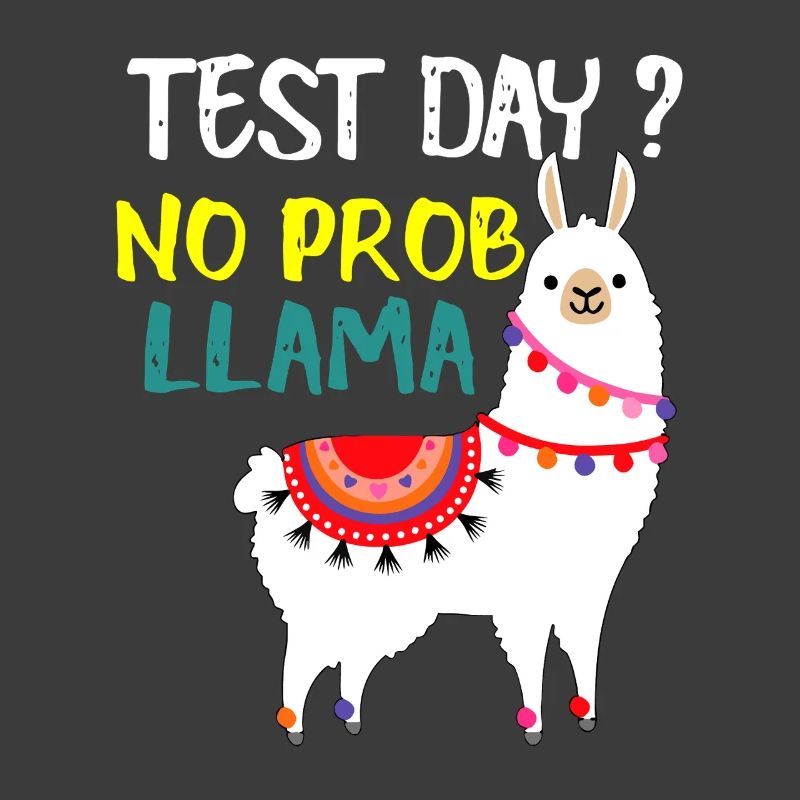 Test Day No Prob Llama