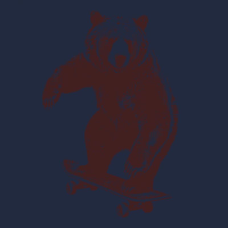 Skating Bär