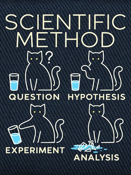 Katzenwissenschaft