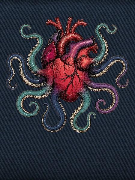 Anatomical Heart Octopus