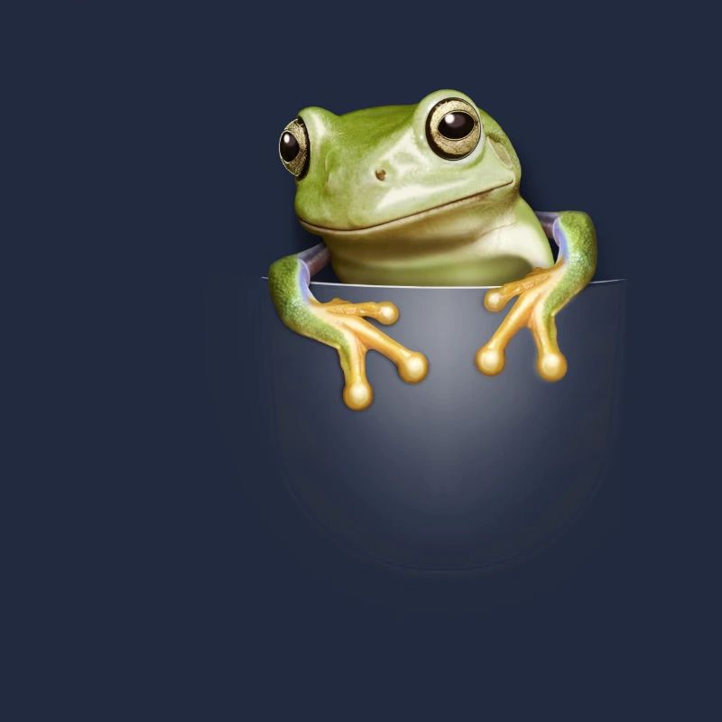 TASCHENFROSCH