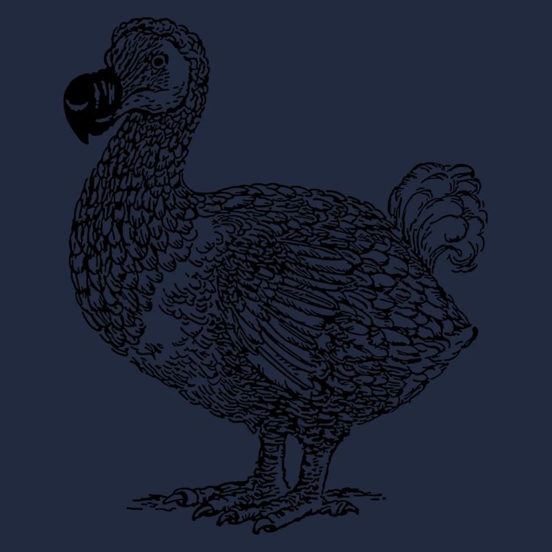 Dodo