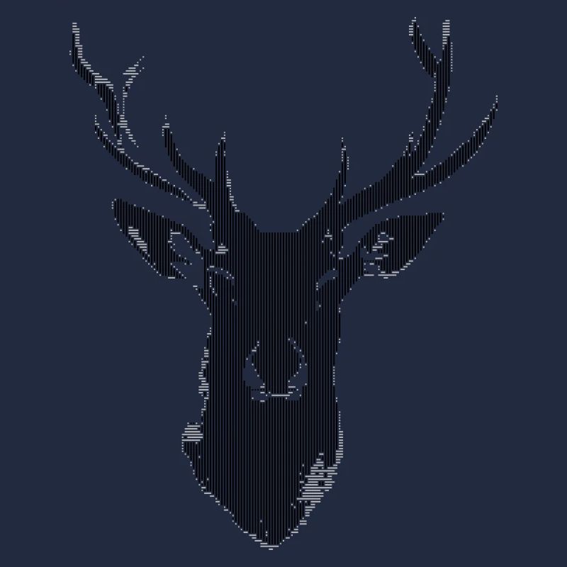 Hirsch Digital