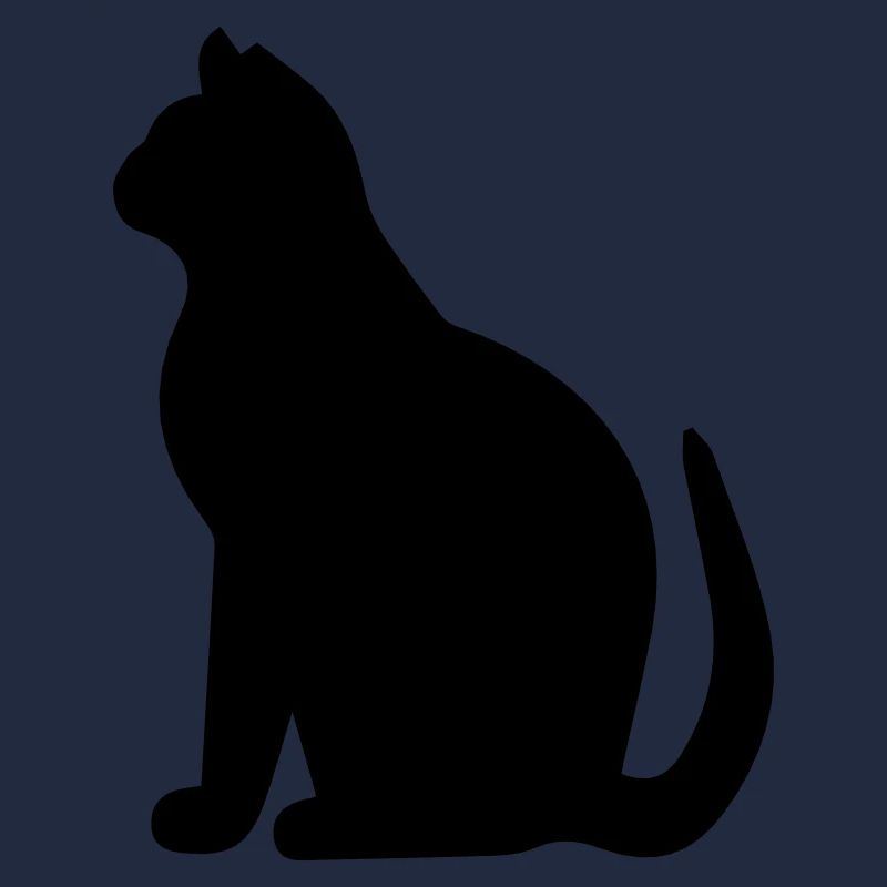 schwarze Katze