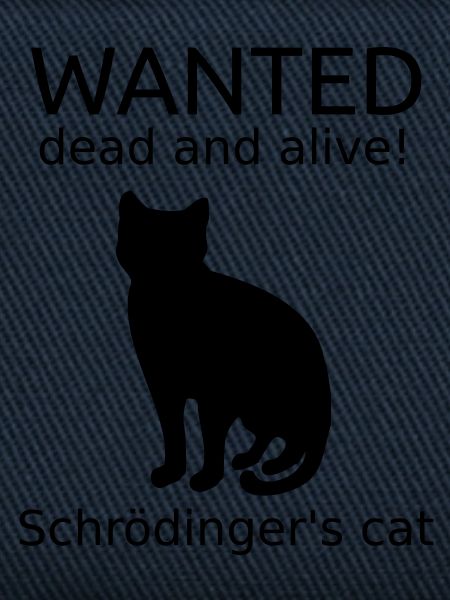 Schrodinger's Cat