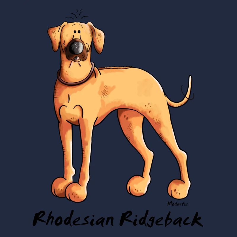 Cute Rhodesian Ridgeback