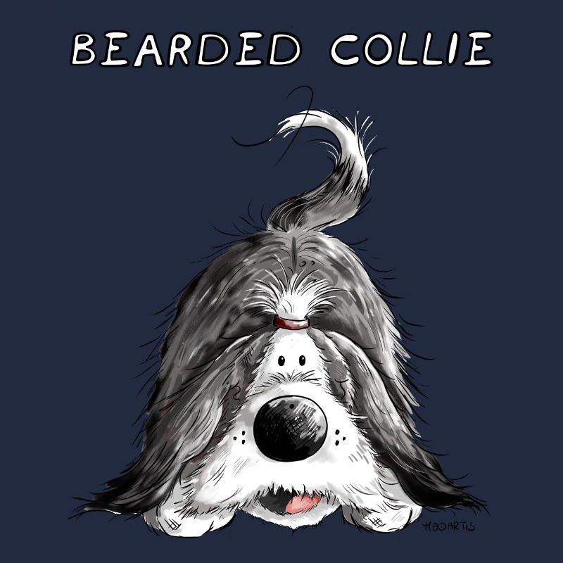 Playing Bearded Collie