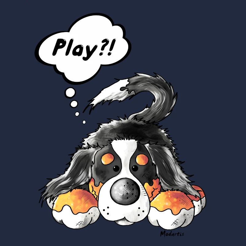 Spielender Berner Sennenhund